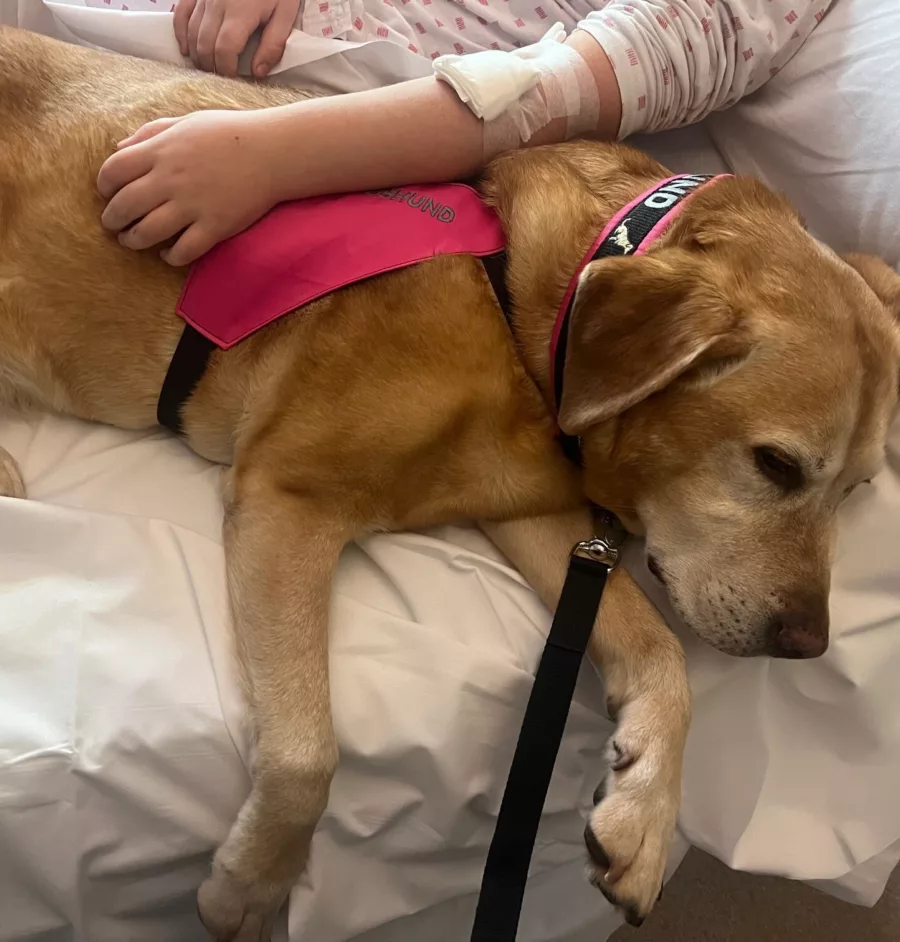 Nando på overvåkningen